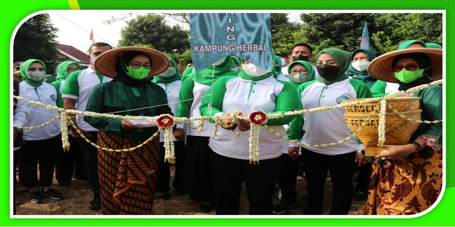 Bupati Bogor Resmikan Kampung Herbal di Gunung Putri